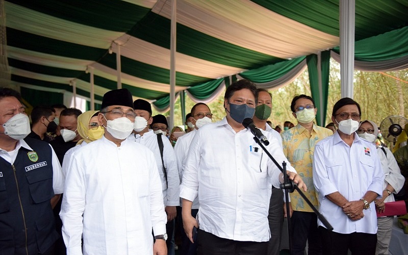 Menko Airlangga: Program Replanting untuk Peningkatan Produktivitas Sawit