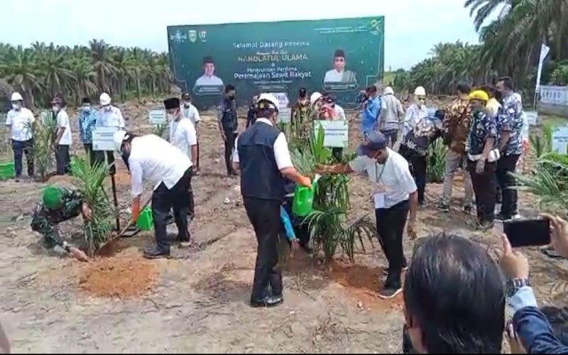 Dorong Petani Manfaatkan PSR, Airlangga: Bantuan Meningkat Jadi Rp30 Juta per Hektare