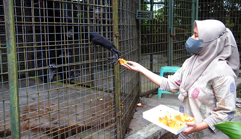 Pusat Penyelamatan Satwa di Bogor Rawat 75 Hewan Langka dan Dilindungi - Bagian 2
