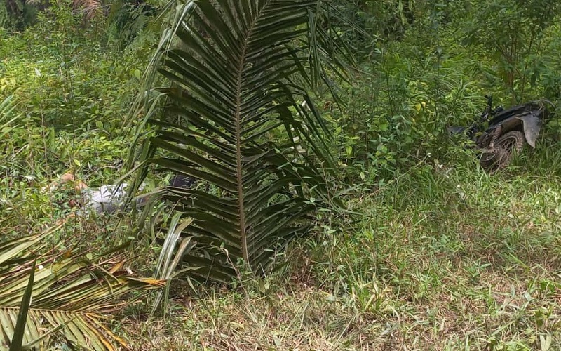 Hilang Tiga Hari, Pria OKU Ditemukan Tewas di Tengah Kebun Sawit