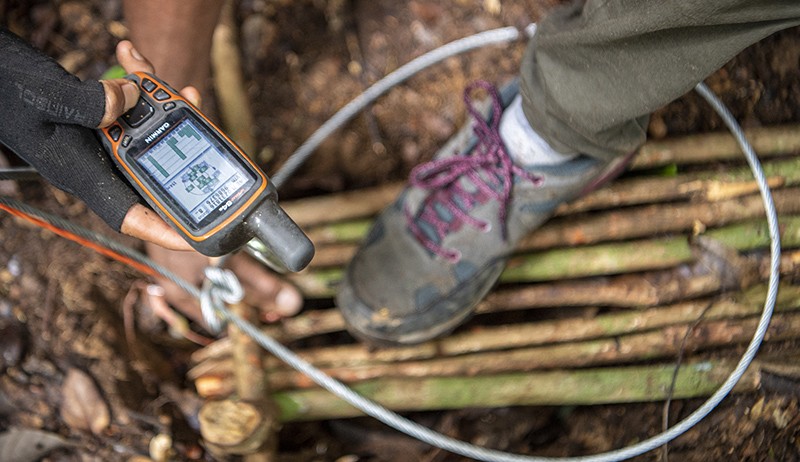 Patroli Pembersihan Jerat Pemburu untuk Melindungi Beruang hingga Harimau - Bagian 1