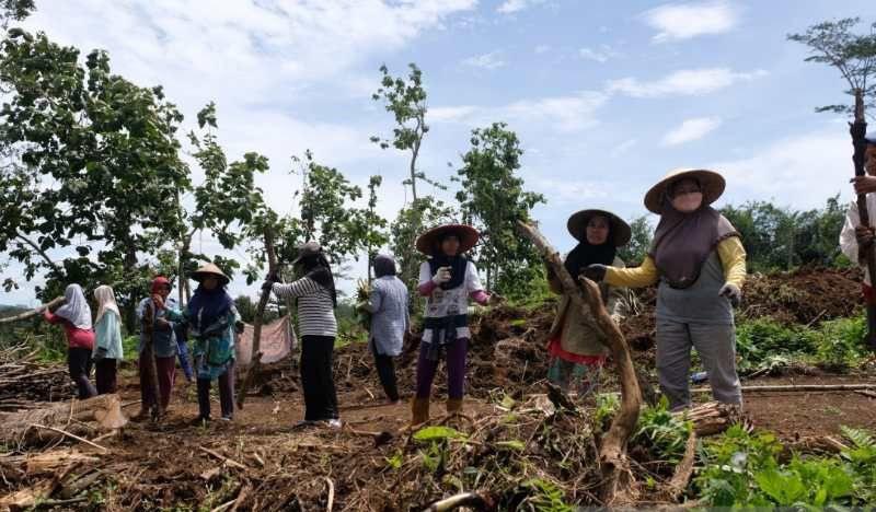 Keren, Mantan Kades di Magelang Ini Hibahkan Tanah untuk Warga Terdampak Proyek Tol