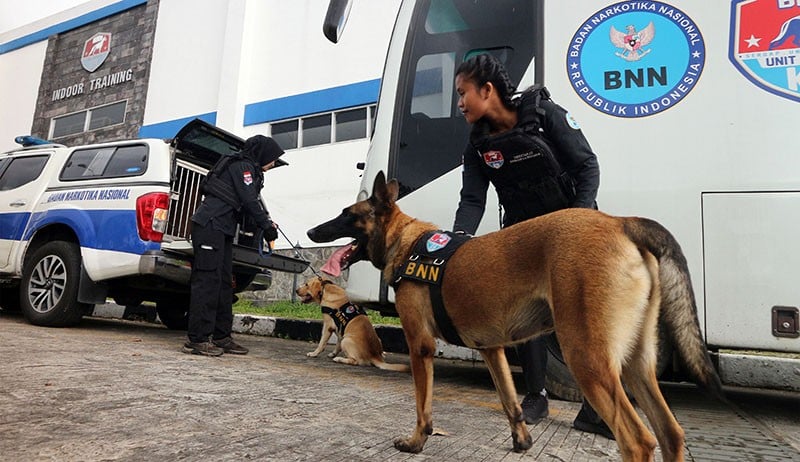 Intip Latihan Anjing Pelacak BNN Mencari Narkoba - Bagian 4