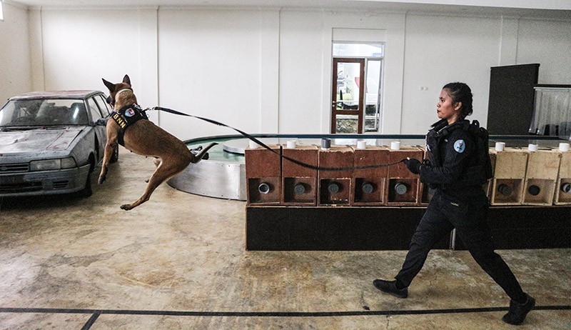 Intip Latihan Anjing Pelacak BNN Mencari Narkoba - Bagian 2