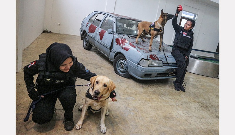 Intip Latihan Anjing Pelacak BNN Mencari Narkoba - Bagian 3
