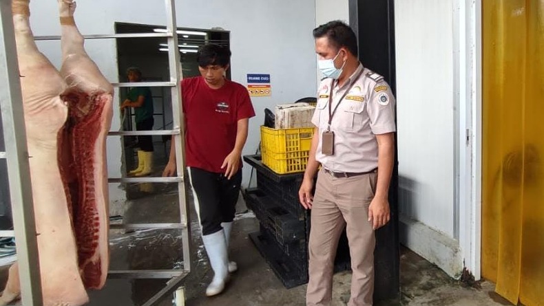 Karantina Pertanian Manado Pastikan Babi asal Sulut Bebas ASF