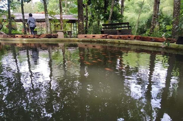  Kenangan Warga Pentingsari Akan Doto Yogantoro yang Selalu Jadi Inspirasi