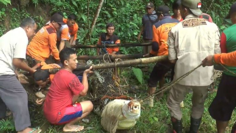 Jepara Heboh, Seekor Buaya di Objek Wisata Mendadak Lepas  