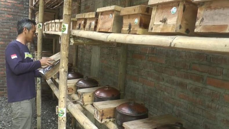 Budi Daya Madu Klanceng di Ruang Sempit, Warga Jepara Ini Raup Jutaan Rupiah