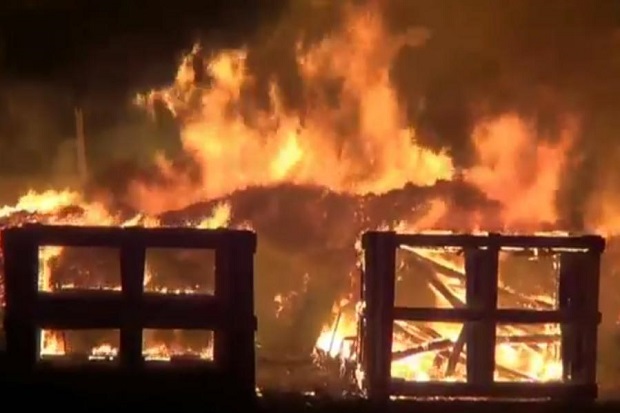 Rumah Terbakar, Nenek di Surabaya Histeris Ingin Terobos Kobaran Api