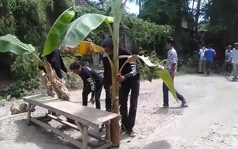 Protes Jalan Rusak, Warga Tanam Pohon Pisang di Akses Menuju Sirkuit Mandalika