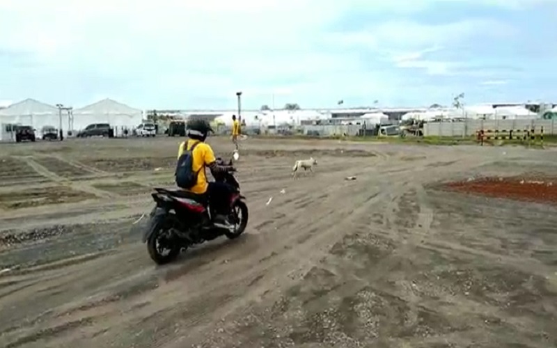 Antisipasi Gangguan saat MotoGP, Anjing Liar di Mandalika Dikandangkan