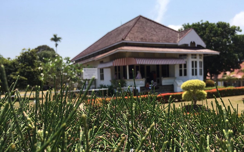title Kisah Pengasingan Bung Karno, Terkena Malaria di Ende yang Nyaris Merenggut Nyawa Kisah Pengasingan Bung Karno, Terkena Malaria di Ende yang Nyaris Merenggut Nyawa