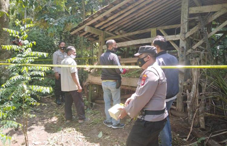 Pencuri Ternak Berkeliaran di Kulonprogo, Petani di Kalibawang Kehilangan 3 Ekor Kambing 