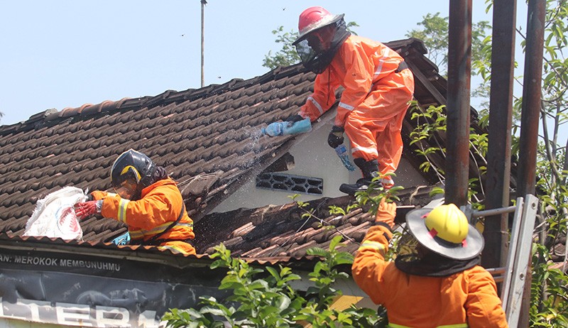 Tawon Vespa Meresahkan Warga Kediri, Damkar Evakuasi Sarang dari Atap Rumah - Bagian 3