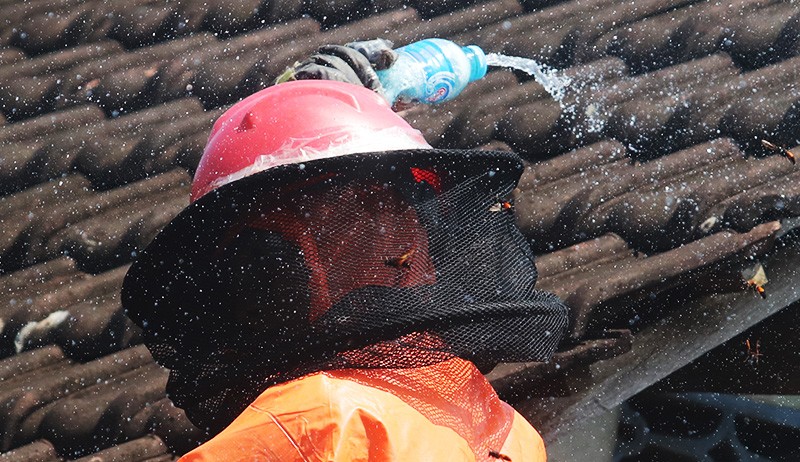 Tawon Vespa Meresahkan Warga Kediri, Damkar Evakuasi Sarang dari Atap Rumah - Bagian 2