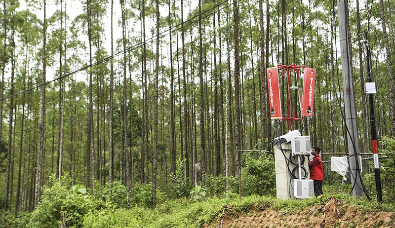 Begini Persiapan Lokasi Berkemah Presiden Jokowi di Titik Nol IKN Nusantara - Bagian 1
