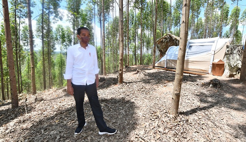 Momen Jokowi Siap-Siap Berkemah di Tengah Hutan Titik Nol IKN Nusantara - Bagian 4