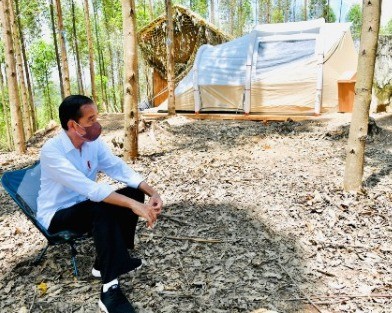 Presiden Jokowi : Pembangunan IKN Diawali dengan Rehabilitasi Lahan