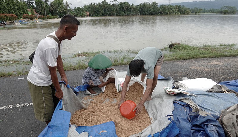 200 Hektare Sawah dan 15 Ton Gabah Terendam Banjir di Banyumas - Bagian 2