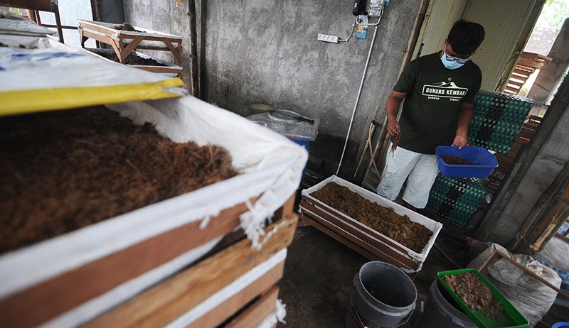 Pemuda Klaten Raup Cuan dari Budi Daya Cacing Tanah - Bagian 2