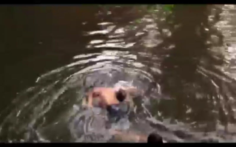 Mandi di Air Terjun Cuhup Mangkok Pagaralam, Wisatawan Asal PALI Tewas Tenggelam 