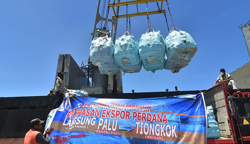 Berkualitas, 3.000 Ton Buah Kelapa Asal Sulawesi Tengah Diekspor ke China - Bagian 1