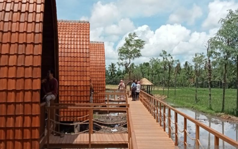 title Warga Manfaatkan Sawah jadi Bungalow untuk Tamu MotoGP, Harga Sewa Rp2,5 Juta per Malam Warga Manfaatkan Sawah jadi Bungalow untuk Tamu MotoGP, Harga Sewa Rp2,5 Juta per Malam