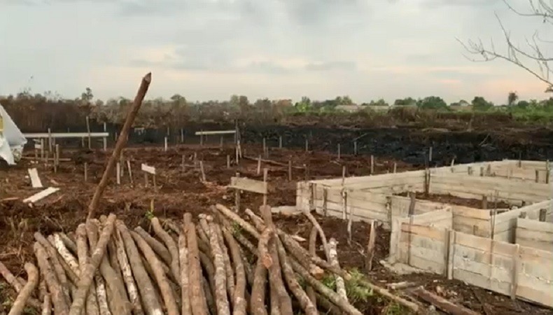 Bangunan Berdiri di Lokasi Kebakaran Lahan Pontianak Mencurigakan, Polisi Turun Tangan