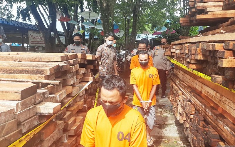 Oknum Polisi Jadi Tersangka Kepemilikan 245 Potong Kayu Bulat Ilegal di Kalsel