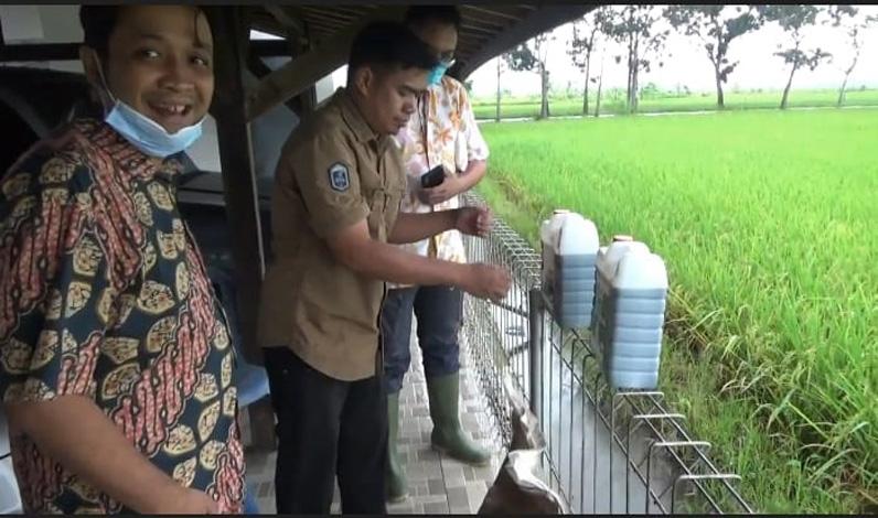 Harga Pupuk Mahal, Petani di Batang Beralih ke Pengolahan Organik