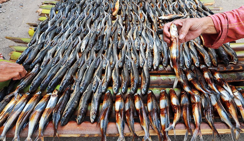 Melihat Pembuatan Ikan Asap Khas Majene Sulawesi Barat - Bagian 1