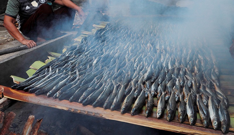 Melihat Pembuatan Ikan Asap Khas Majene Sulawesi Barat - Bagian 2