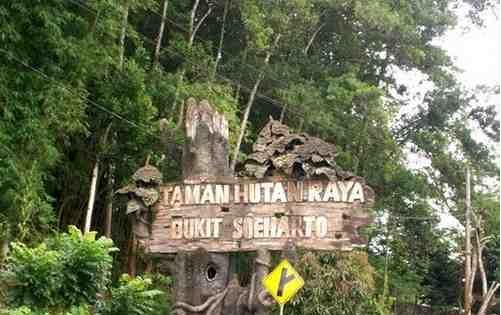 Misteri Bukit Soeharto Kalimantan Timur, Ceritanya Bikin Merinding 