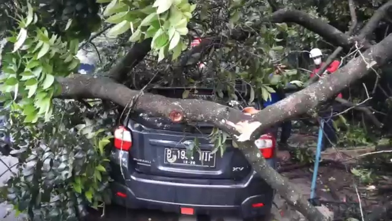 Pohon Mahoni 10 Meter Tumbang Timpa Mobil di Sadangserang Bandung