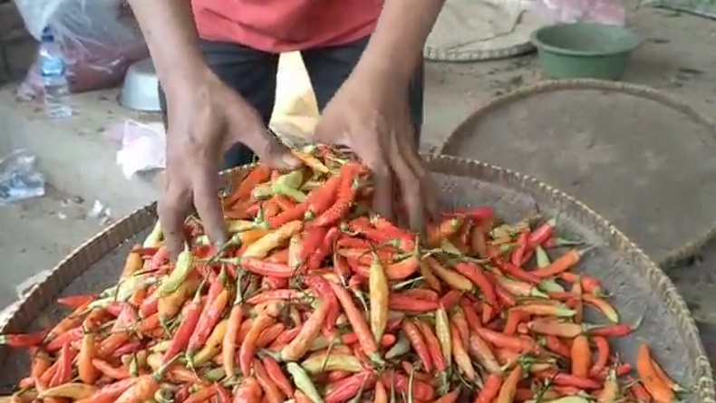  Harga Cabai Rawit Merah di Temanggung Bersaing dengan Daging, Tembus Rp120.000 per Kilogram