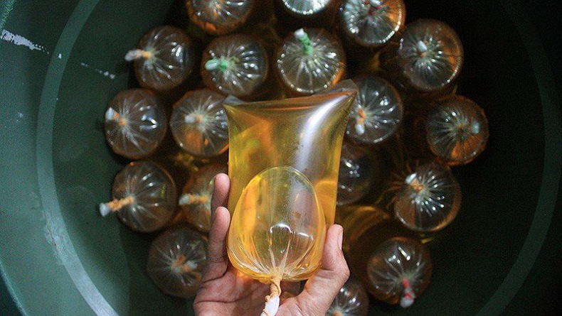 81 Perusahaan Wajib Sediakan Minyak Goreng Curah 14.000 Ton per Hari