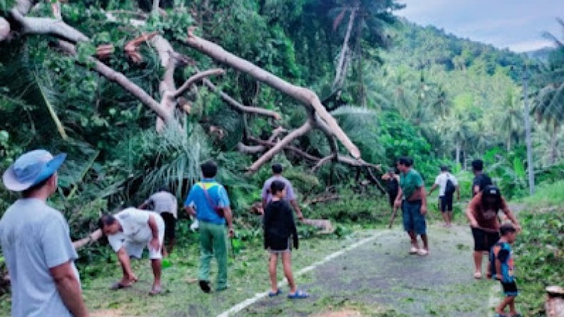 Dihantam Angin Kencang saat Hujan Lebat, Pohon dan Tiang Listrik di Kareko Bitung Tumbang