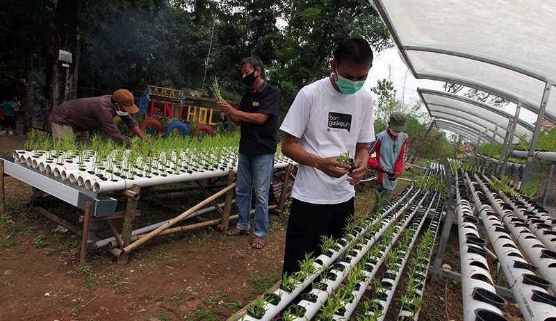 Potret Kampung Berseri Astra Menuju Desa Sejahtera - Bagian 4