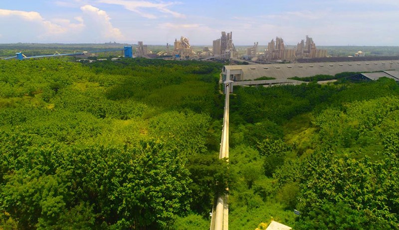 Hari Hutan Sedunia, SIG Serahkan 999 Bibit Pohon untuk Restorasi Kampung Long Duhung - Bagian 1