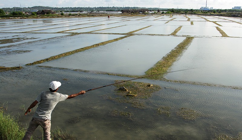 Ratusan Hektare Tambak Garam di Jeneponto Tidak Berproduksi - Bagian 1