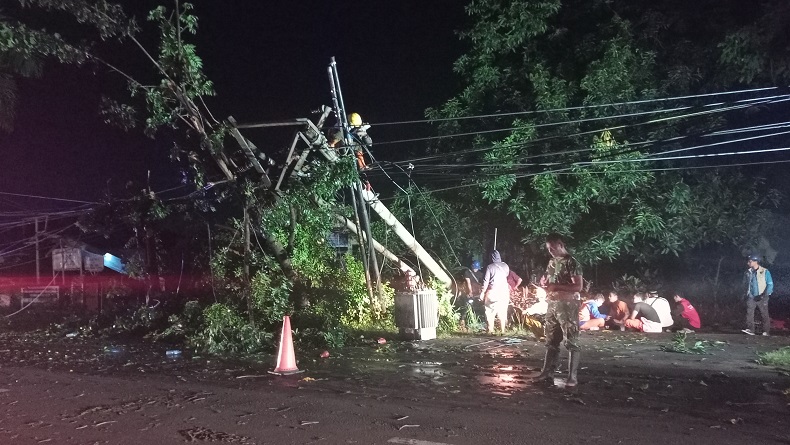 Beringin Tumbang Timpa Tiang Listrik, Beberapa Desa di Majalengka Gelap Gulita
