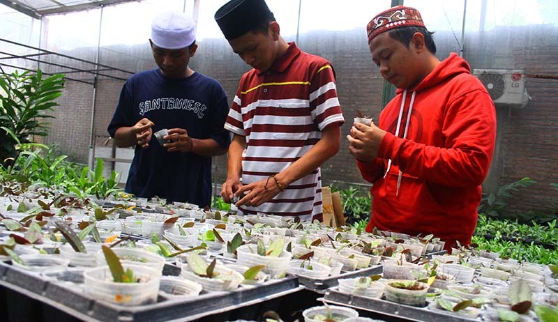 Potret Santri di Malang Budi Daya Anggrek - Bagian 3