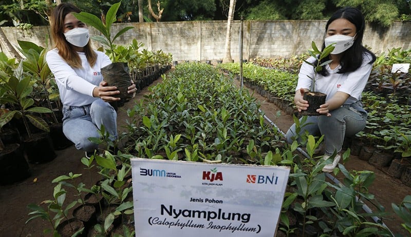 Kolaborasi BNI-Yayasan KJA  Rehabilitasi Pesisir Anyer dengan Penanaman Pohon - Bagian 3