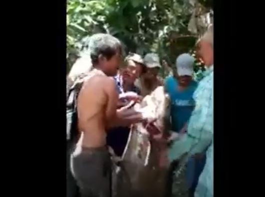 Heboh Warga Tebingtinggi Tangkap Ikan Tapah Raksasa, Laku Terjual Rp700.000