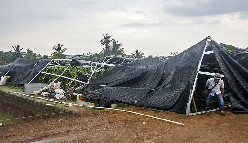 Puluhan Rumah Rusak dan Pohon Tumbang Diterjang Angin Puting Beliung di Ciamis - Bagian 2