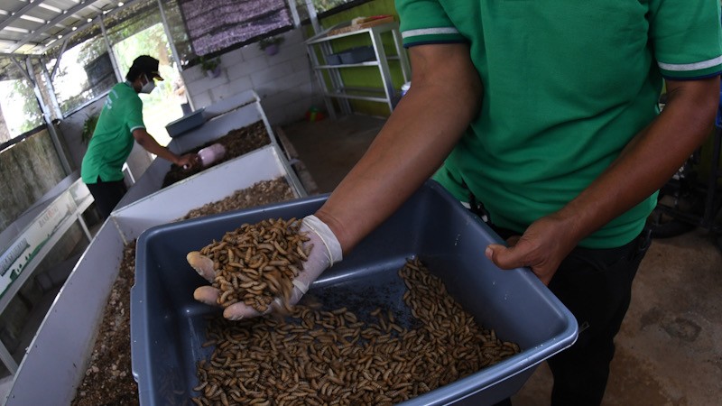 OJK Dukung Perluasan dan Pengembangan Bank Wakaf Mikro di Lingkungan Pesantren - Bagian 1