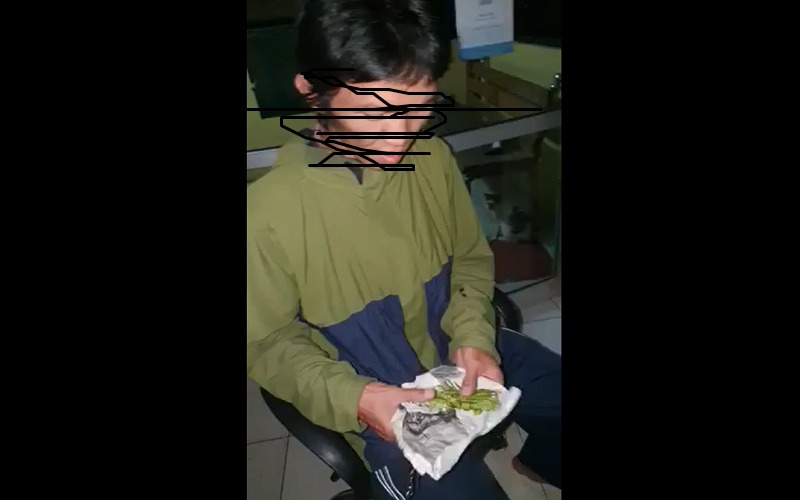 title Terlalu Polos, Tukang Ojek Lapor Polisi usai Tertipu Beli Ganja Dapat Seledri Terlalu Polos, Tukang Ojek Lapor Polisi usai Tertipu Beli Ganja Dapat Seledri