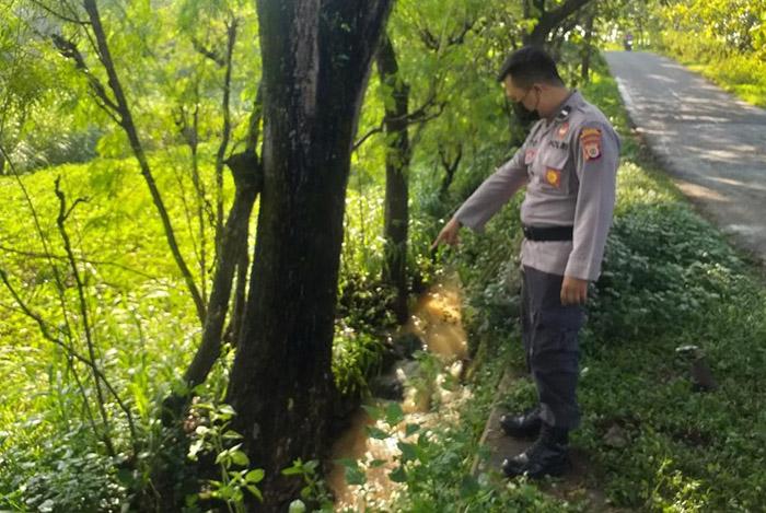 title Tragis, Pelajar di Gunungkidul Tewas Tabrak Pohon usai Antar Ayah ke Pasar Tragis, Pelajar di Gunungkidul Tewas Tabrak Pohon usai Antar Ayah ke Pasar