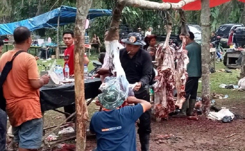 Tradisi Bantai Adat, Daging 120 Ekor Kerbau Terjual dalam Empat Jam
